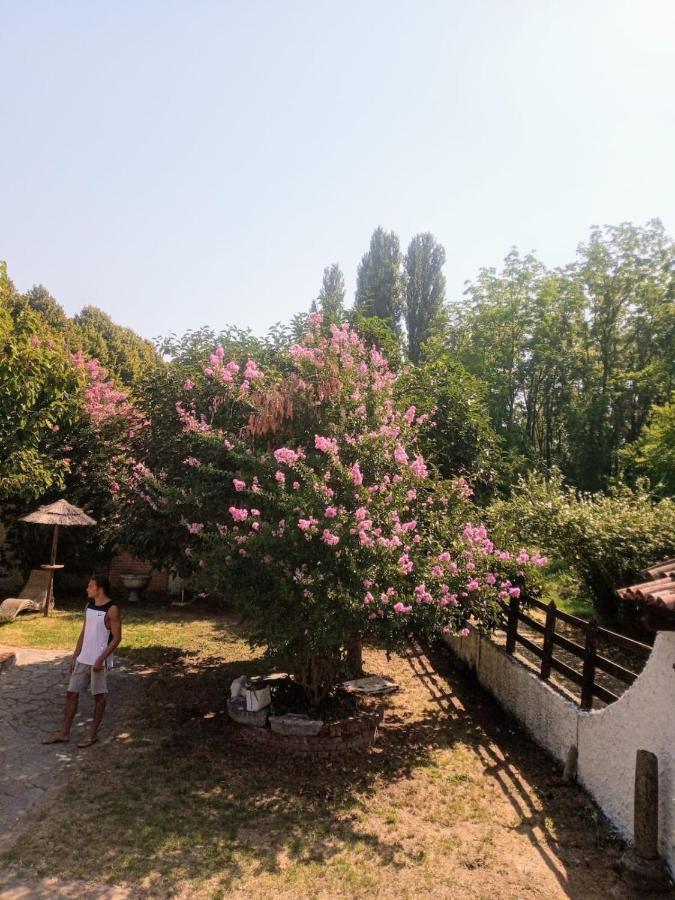 La Dama Con L'Ermellino B&B San Giovanni in Croce Ngoại thất bức ảnh