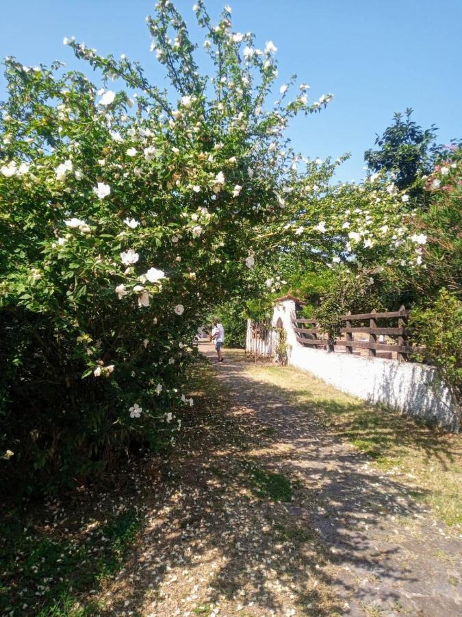 La Dama Con L'Ermellino B&B San Giovanni in Croce Ngoại thất bức ảnh