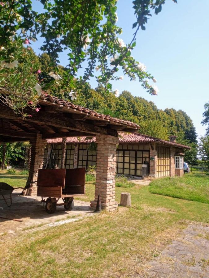 La Dama Con L'Ermellino B&B San Giovanni in Croce Ngoại thất bức ảnh